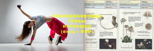 мет Нефтегорск
